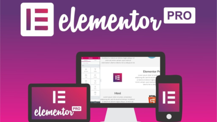 Elementor Pro